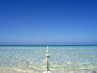 Safe Zone In Ocean Wallpaper