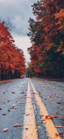Fall Wallpaper For iPhone Best Autumn