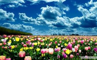 All About Italy Extremely Beautiful Wallpaper Noupe