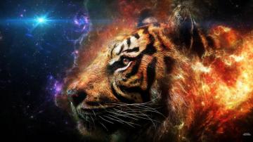 Galaxy Tiger Wallpaper On