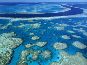 Great Barrier Reef Wallpaper