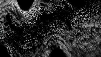 Waveform The Official Jwildfire