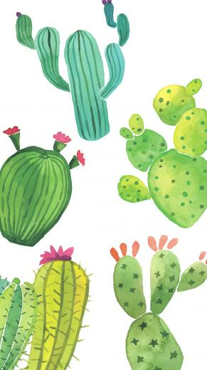 Cute Cactus Wallpaper iPhone