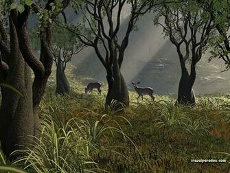 Mule Deer