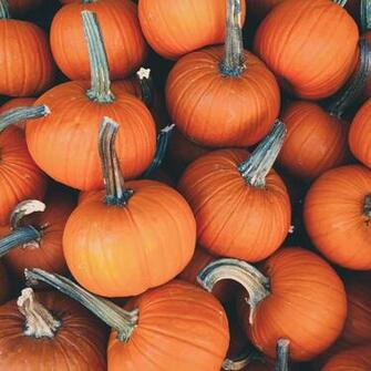 Wallpaper Weekends A Touch Of Pumpkin Spice For Mac iPhone iPad
