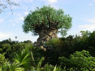Orlando Florida Downtown Disney World