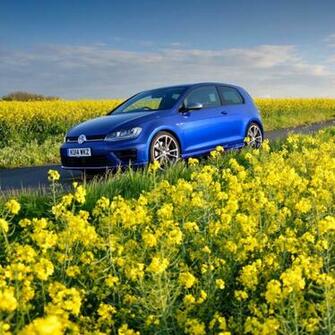 Wallpaper Volkswagen Golf R Mk7 Flowers Field