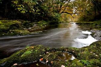 Landscape Photography Northern Ireland Glenarm
