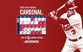 Cardinals Wallpaper Fan Forum