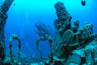 Underwaters Diver Loon Blue Deep HD Wallpaper