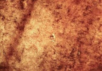Grunge Texture Marble Granite Counter Surface Desktop Wallpaper