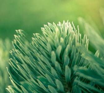 Htc One M8 Wallpaper 09techglen Techglen Apps For Pc
