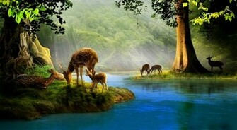 Deer Computer Wallpaper Desktop Background Id