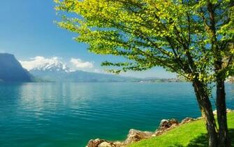 Spring Scenery