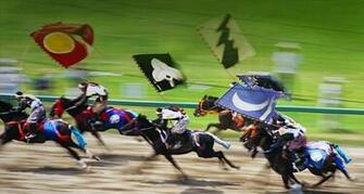Horses Chase On Soma Nomaoi Fukushima Japan