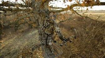 Blue Mossy Oak Camo Wallpaper Treestand User