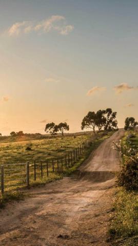 Country Wallpaper Enjpg
