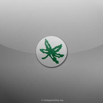 Thumbs Ohio State Buckeyes iPad Wallpaper