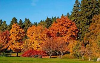 Autumn 3d Wallpaper