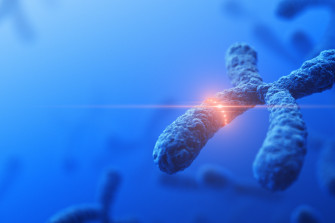 Genetic Engineering In Humans Examples Peter Joosten Msc