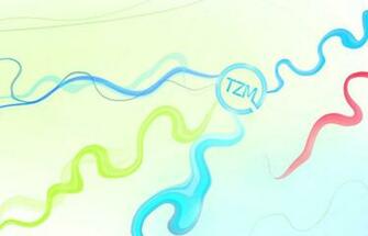 Tzm Wallpaper By Legosz