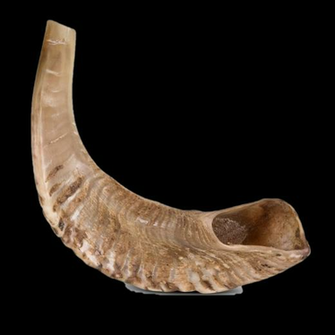 Shofar Transparent Background Png Mart