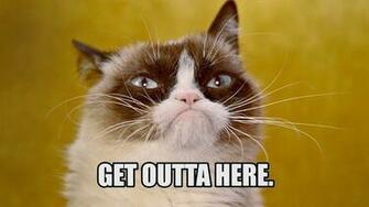 Grumpy Cat Meme Wallpaper