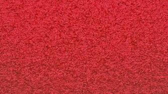 Carpet Red Vidalondon