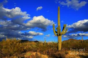 Arizona Photograph Landscape By Bob Christopher