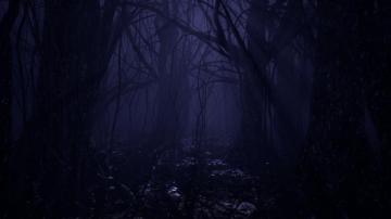 Dark Forest In Environments Ue Marketplace