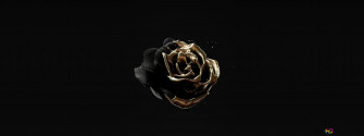 Image Of Rose Gold Color On Black 4k Wallpaper