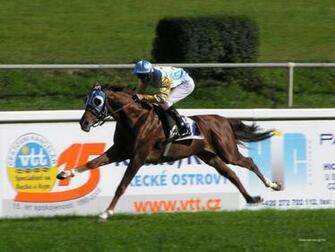 Url Horse Bet Racing Info Wallpaper Html