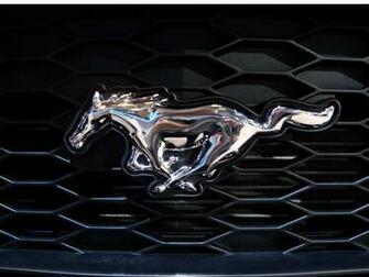 Mustang Logo Wallpaper HD In Logos Imageci
