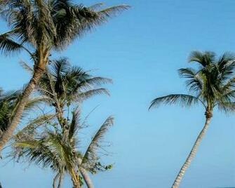 Wincustomize Explore Wallpaper Key West Florida