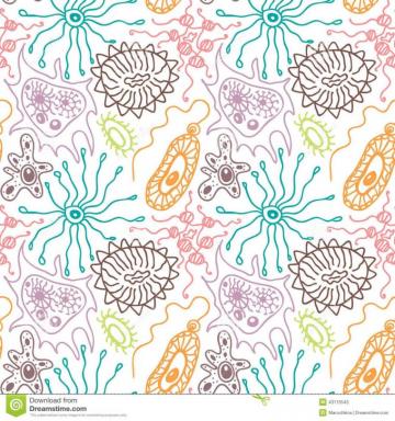 Microbe Wallpaper Posted By Zoey Tremblay
