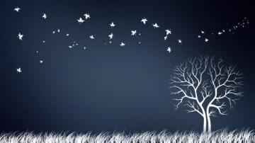 Creative Wallpaper Desktop Art Background