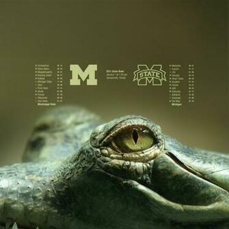 Michigan Football Fan Art The