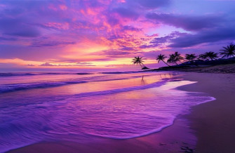 Purple Beach Wallpaper
