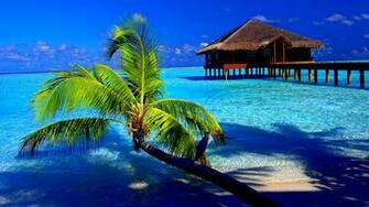 Tropical Computer Wallpaper Desktop Background Id