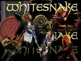Whitesnake Wallpaper Photo Whitesnakewallpaper Jpg