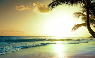 Tropical Beach Sunset 4k HD Nature Wallpaper Image