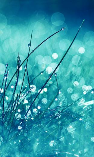 Blackberry Z30 Wallpaper Themes