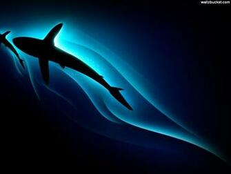 Sharks Wallpaper For Computer Desktop