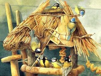 Backyard Birds Beautiful Paintings Small Bird Illustration