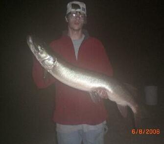 Muskies Desktop Background General Discussion Muskie Fishing