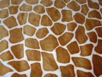 Minky Giraffe Print Photo By Uhohmama Photobucket