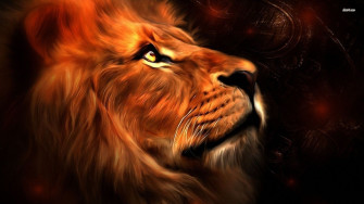 Lion Wallpaper Desktop