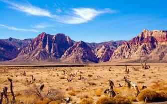 Nevada Desert Vegetation Stock Photos Image HD Wallpaper