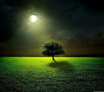 Full HD Wallpaper For Galaxy S3