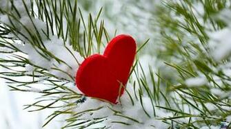 Heart Wallpaper HD Net